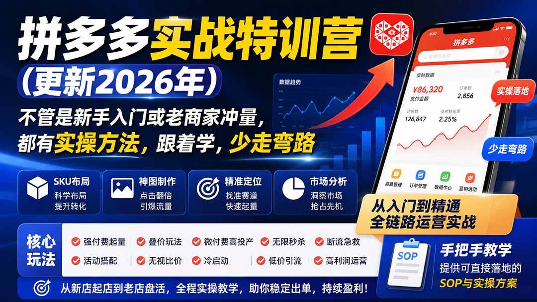 （19842期）拼多多实战特训营(更新2026年)：不管是新手入门或老商家冲量，都有实操方法，跟着学，少走弯路-智云网