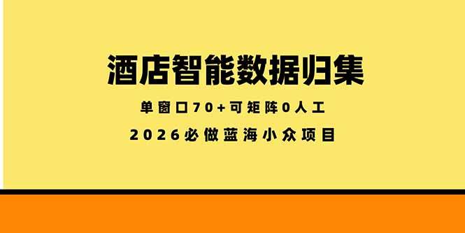 （18500期）酒店智能数据归集，小众蓝海已经稳定半年之久，单窗口70+零成本矩阵开干-智云网