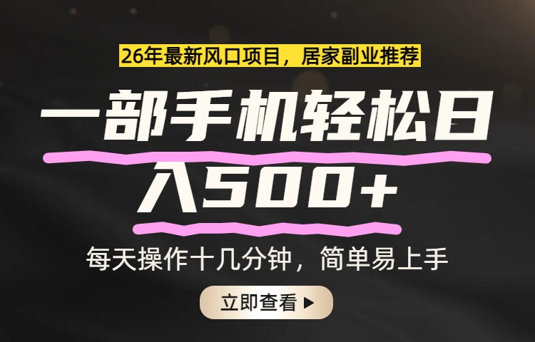 26年居家副业首选，一部手机轻松日入500+，长期稳定可做-智云网