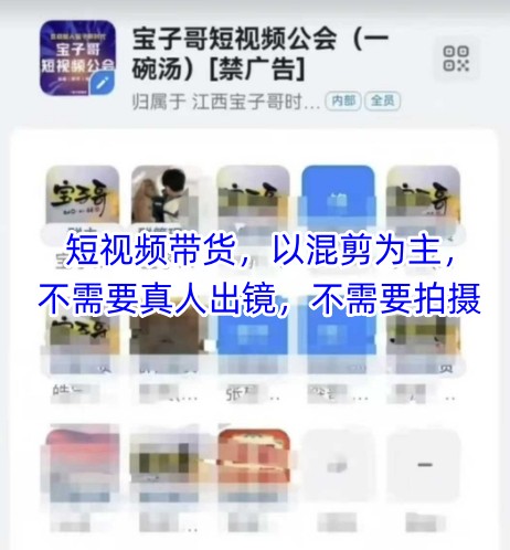 宝子哥头部团队短视频带货，以混剪为主，不需要真人出镜，不需要拍摄【更新26年3月】-智云网