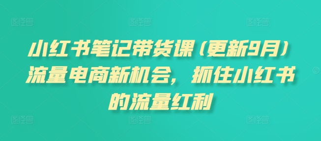 小红书笔记带货课，流量电商新机会，抓住小红书的流量红利(更新26年2月)-智云网