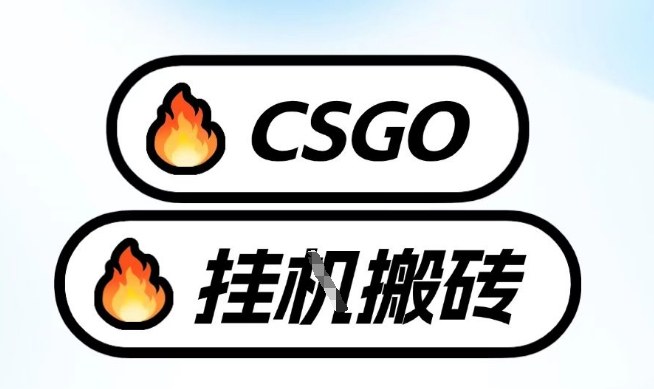 真全网独家CSGO挂G，最新玩法,单日捡漏1K+，不用电脑，不用打游戏【揭秘】-智云网