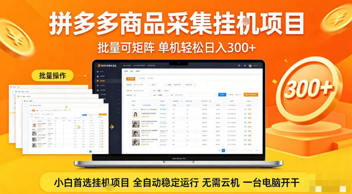 拼多多商品信息全自动采集项目，批量可矩阵，单机轻松日入300+，无需云机一台电脑开干【揭秘】-智云网