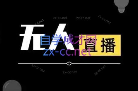 宝子哥·无人直播-非实时防风技术(更新2026)-智云网