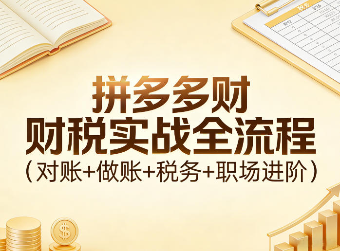 拼多多财税实战全流程（对账+做账+税务+职场进阶）-智云网