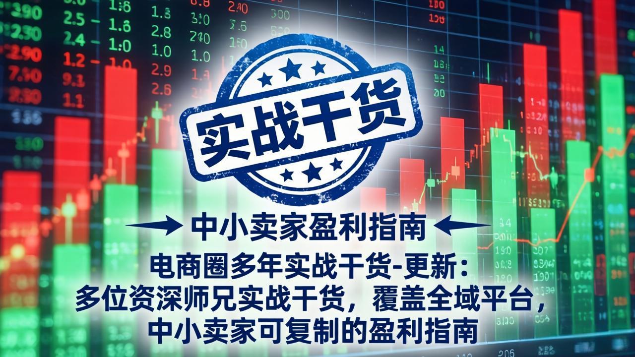 电商圈多年实战干货-更新4月27：多位资深师兄实战干货/覆盖全域平台，中小卖家可复制的盈利指南-智云网