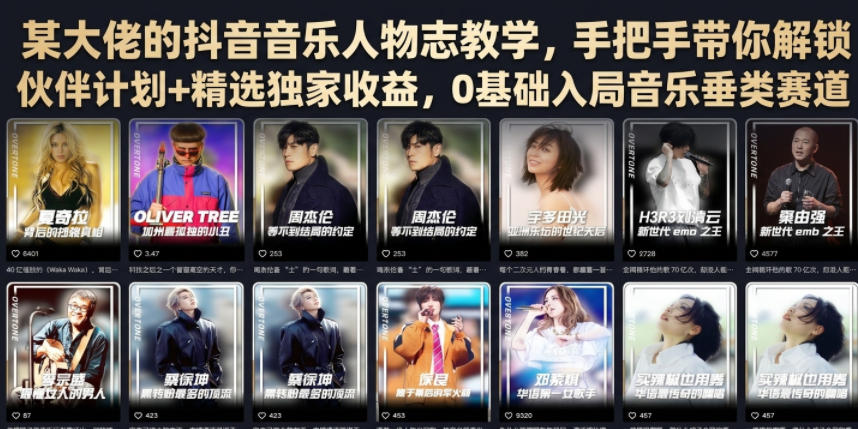 某大佬的抖音音乐人物志教学，手把手带你解锁伙伴计划+精选独家收益，0基础入局音乐垂类赛道-智云网