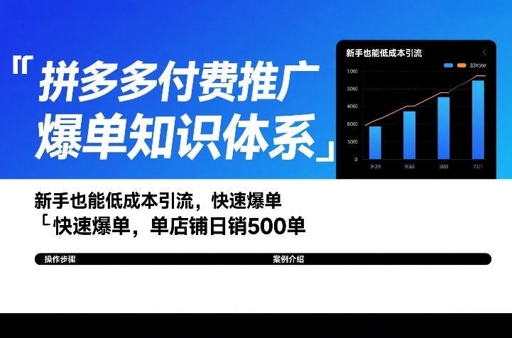 拼多多付费推广爆单知识体系，新手也能低成本引流，快速爆单，单店铺日销500单-智云网