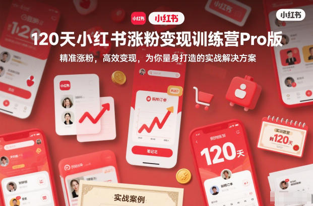 120天小红书涨粉变现训练营Pro版，精准涨粉，高效变现，为你量身打造的实战解决方案-智云网