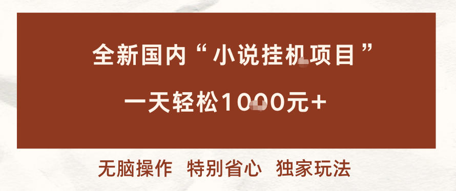 全新国内小说挂G项目，多窗口无脑跑，一天轻松1k+，特别省心【揭秘】-智云网