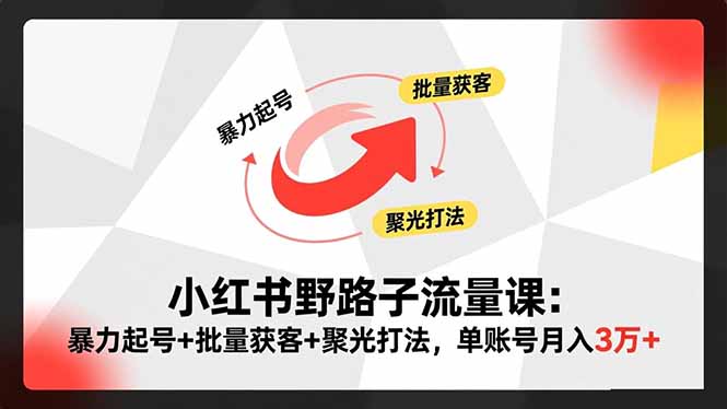 小红书野路子流量课：暴力起号+批量获客+聚光打法，单账号月入3万+-智云网