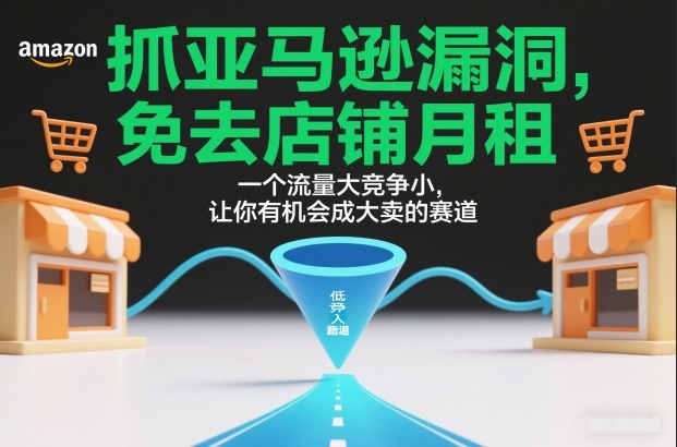 抓亚马逊漏洞，免去店铺月租，一个流量大竞争小，让你有机会成大卖的赛道-智云网