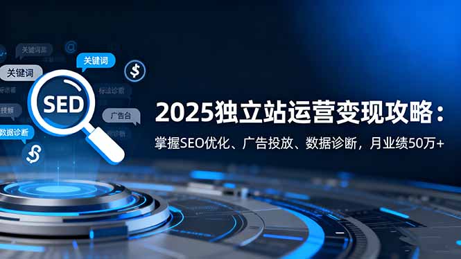 2025独立站运营变现攻略：掌握SEO优化、广告投放、数据诊断，月业绩50万+-智云网