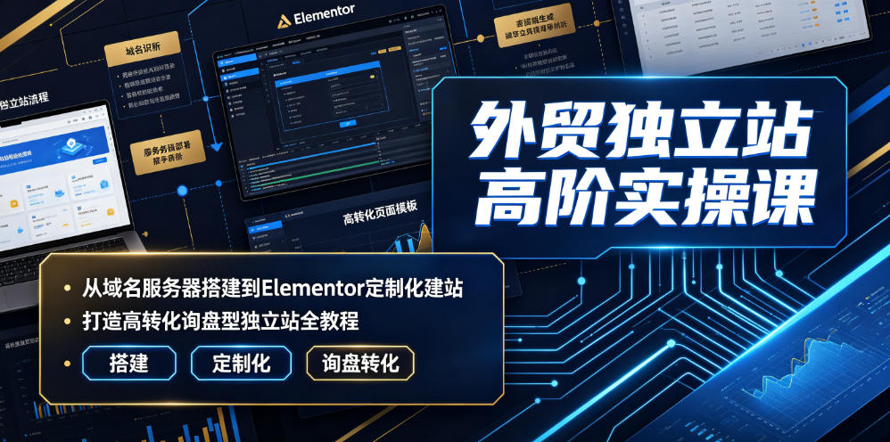 外贸独立站高阶实操课｜从域名服务器搭建到Elementor定制化建站，打造高转化询盘型独立站全教程-智云网