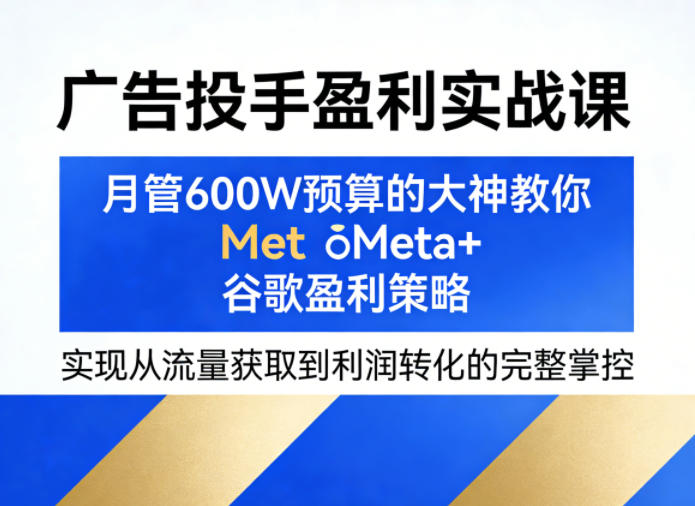 广告投手盈利实战课，月管600W预算的大神教你Meta+谷歌盈利策略，实现从流量获取到利润转化的完整掌控-智云网