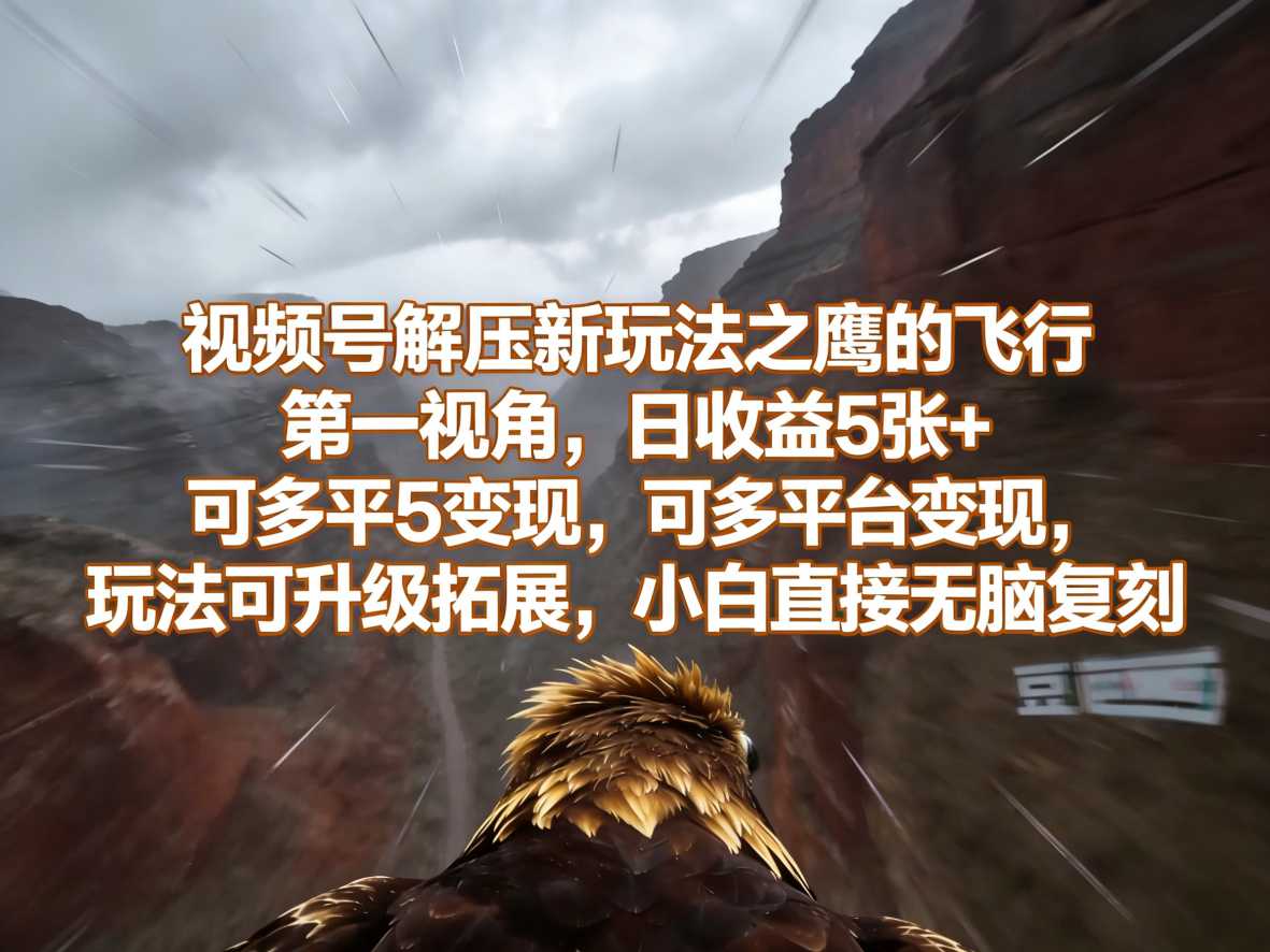 视频号解压新玩法之鹰的飞行第一视角，日收益5张+，可多平台变现，玩法可升级拓展，小白直接无脑复刻-智云网