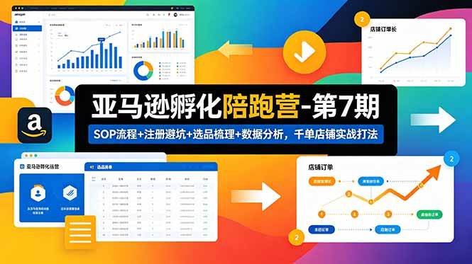 （18752期）亚马逊孵化陪跑营-第7期：SOP流程+注册避坑+选品梳理+数据分析，千单店铺实战打法-智云网